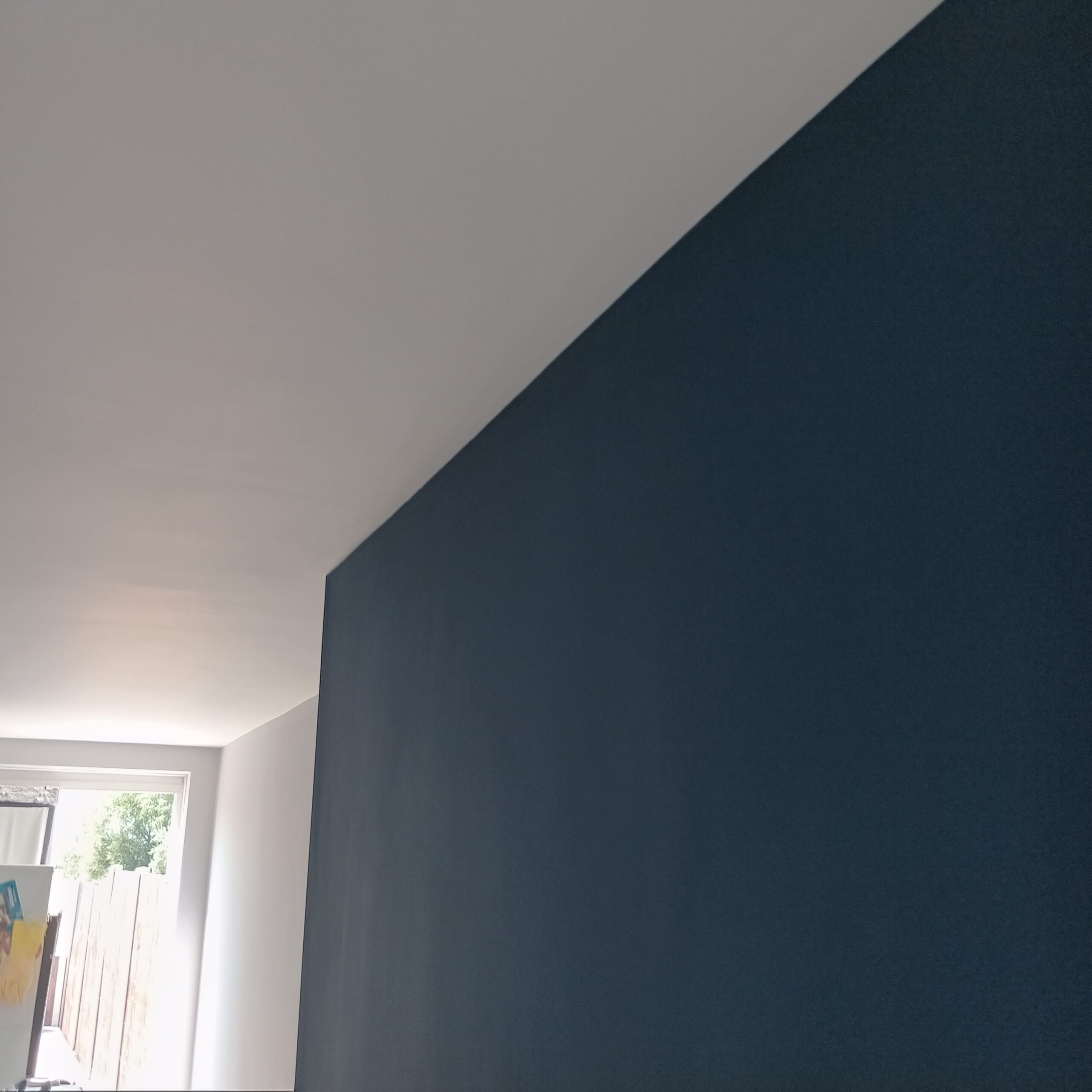 Dark Blue Feature Wall