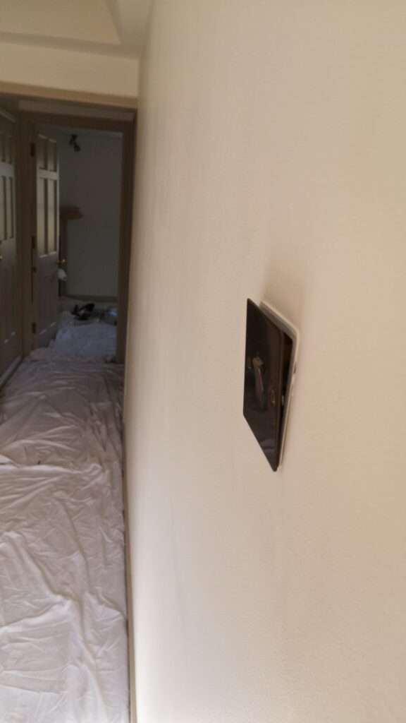 Light switch, paint free